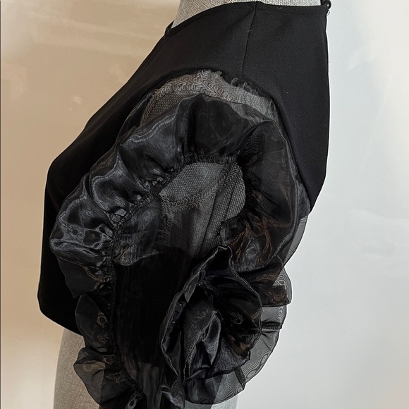 NWOT Elegant Black Fitted Stretch Sheer Rosette Sleeve Top, Size 40/8/M - Picture 6 of 12